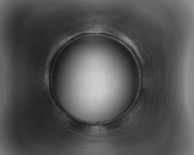 X0000088581464200705251128
