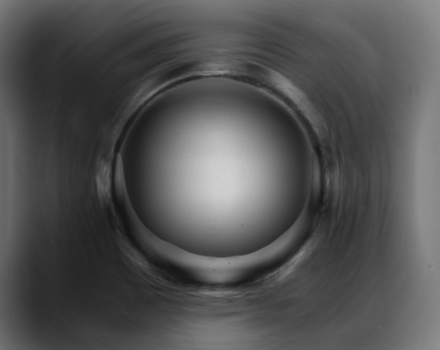 X0000088581465200705251128