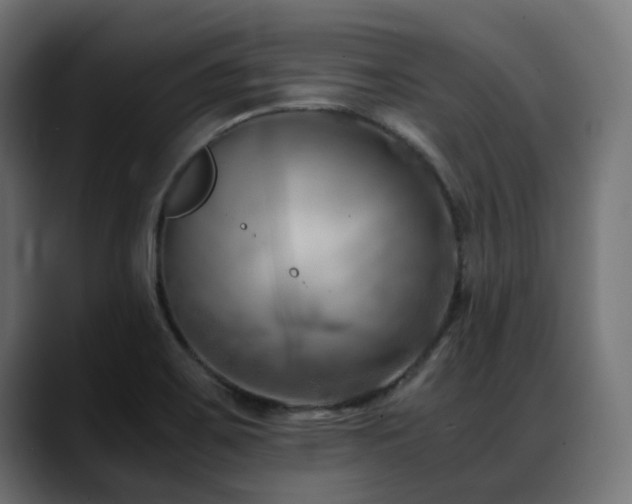 X0000088581467200705251128