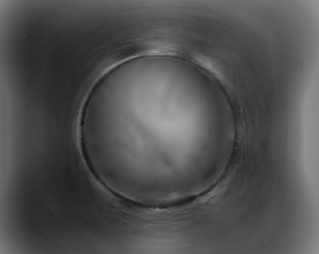 X0000088581471200705251128