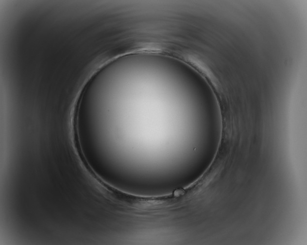 X0000088581475200705251128