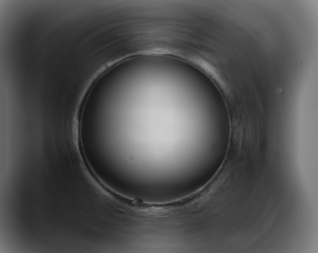 X0000088581476200705251128