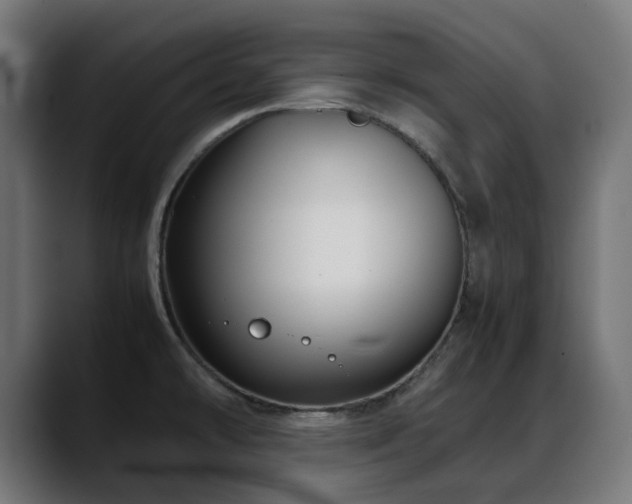 X0000088581478200705251128