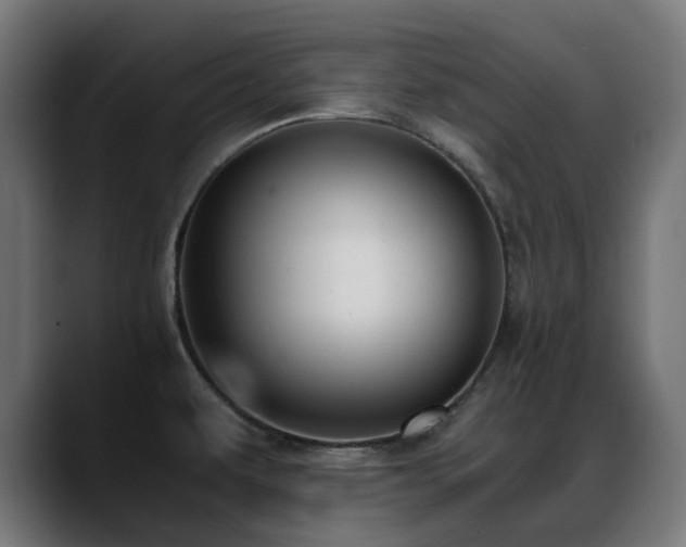 X0000088581479200705251128