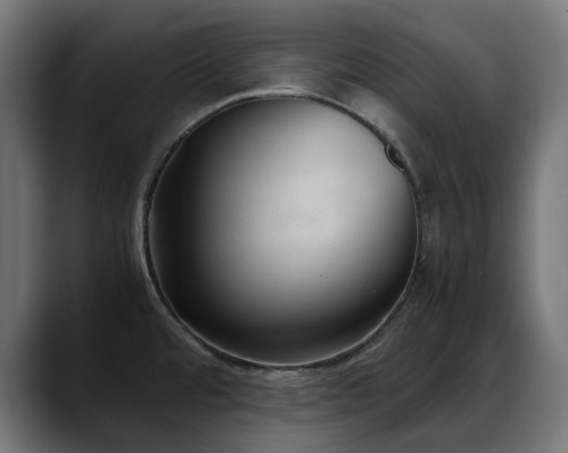 X0000088581480200705251128