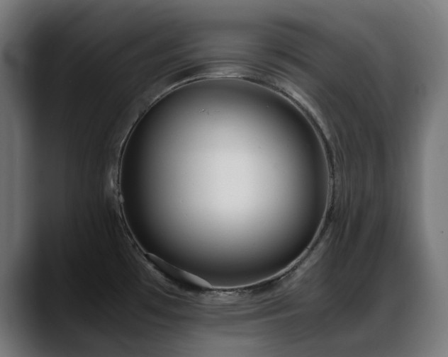 X0000088581481200705251128