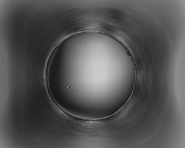 X0000088581482200705251128