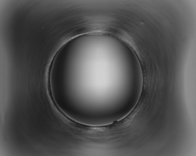 X0000088581483200705251128