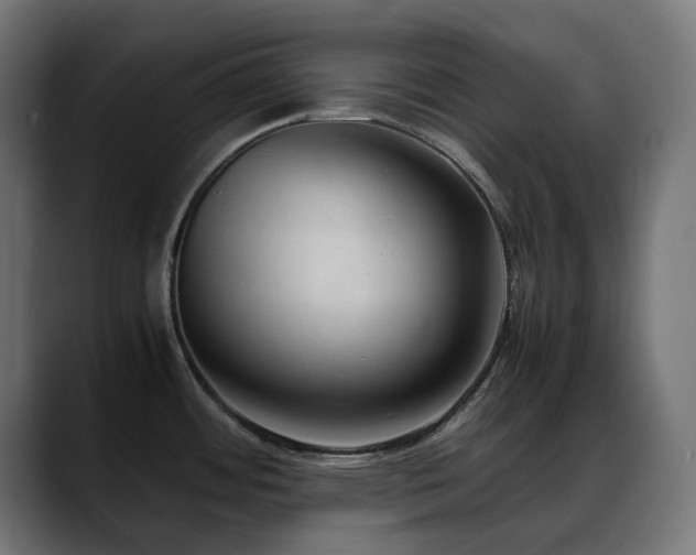 X0000088581484200705251128
