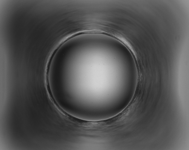 X0000088581485200705251128
