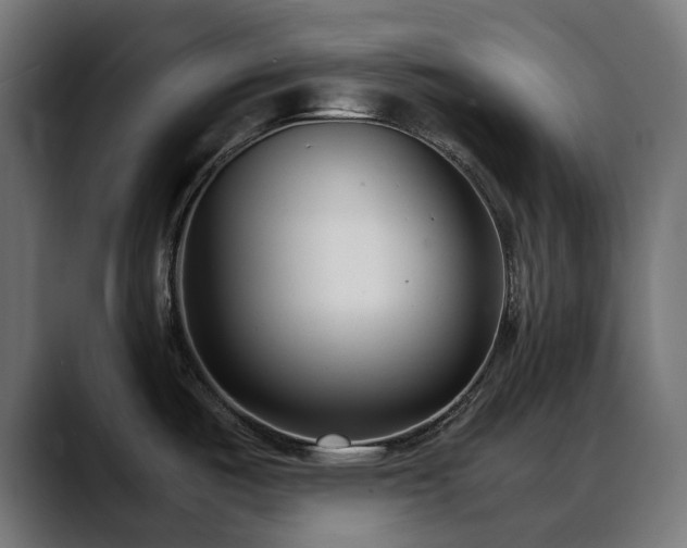X0000088581487200705251128