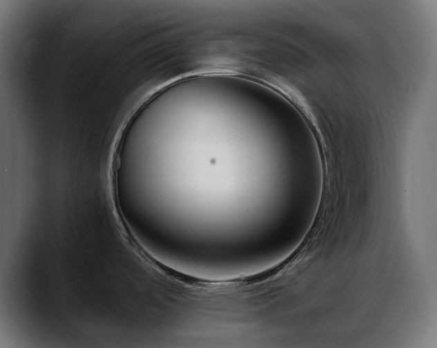 X0000088581488200705251128