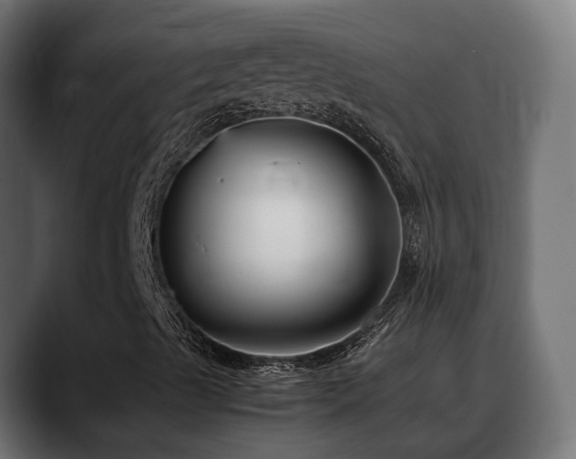X0000088581489200705251127