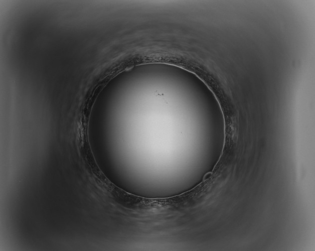 X0000088581493200705251127