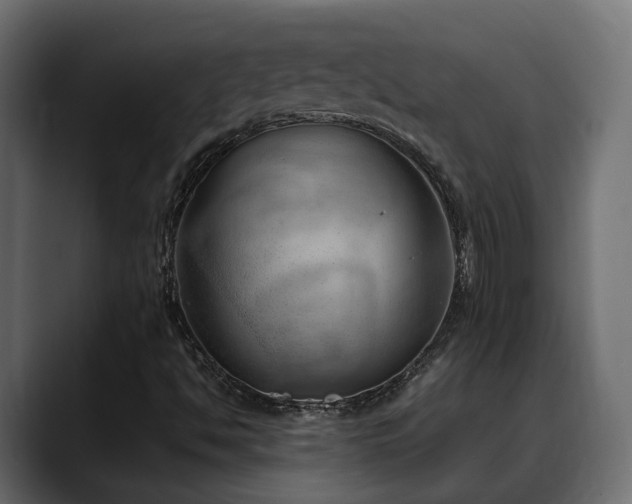 X0000088581494200705251127