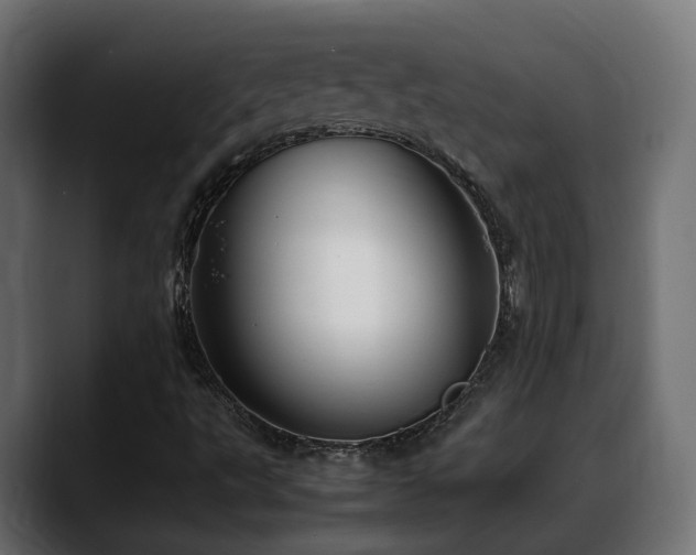 X0000088581495200705251127