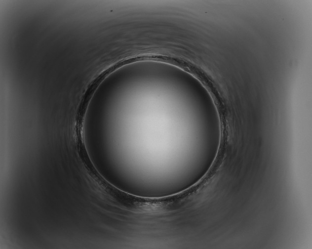 X0000088581497200705251127