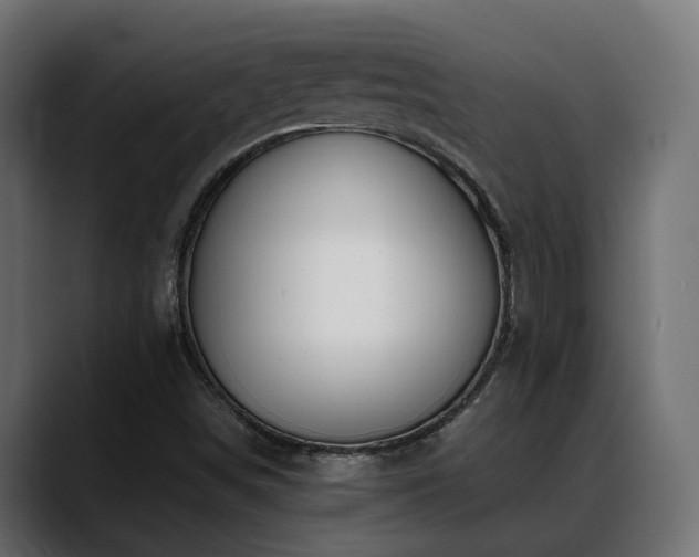 X0000088581498200705251127