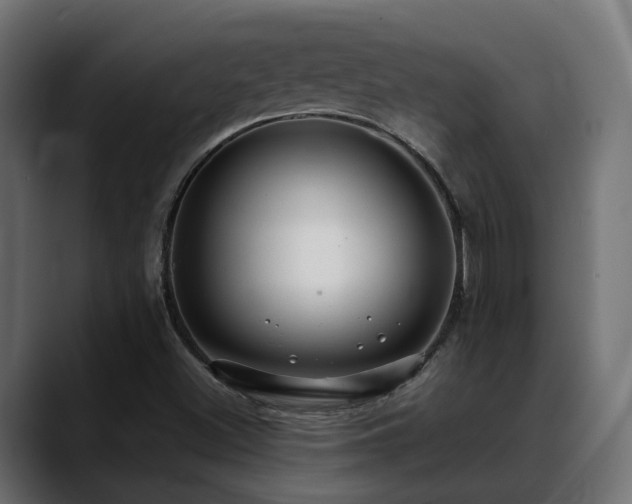 X0000088581500200705251127