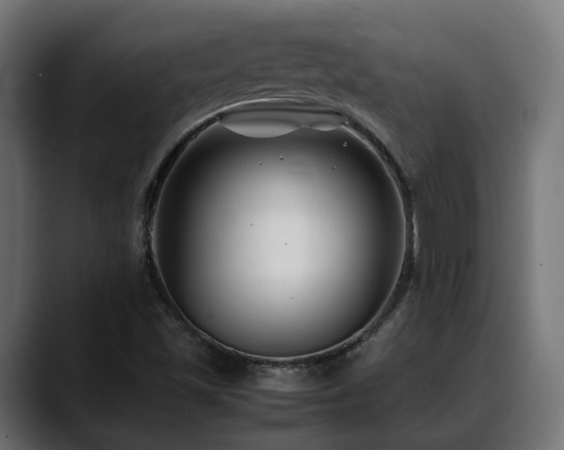 X0000088581501200705251127