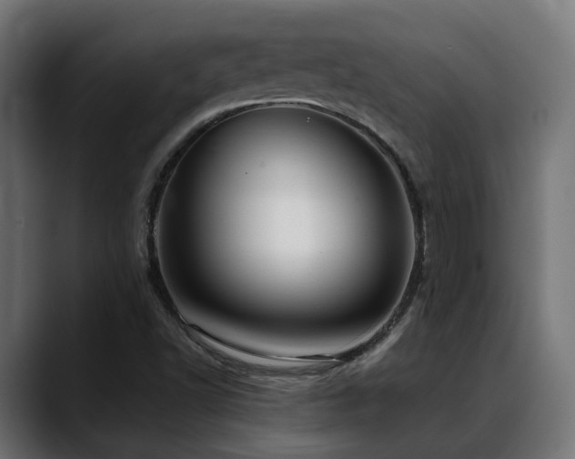X0000088581502200705251127