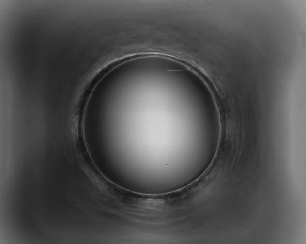 X0000088581503200705251127