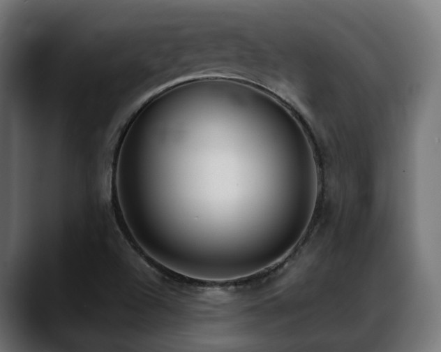 X0000088581504200705251127