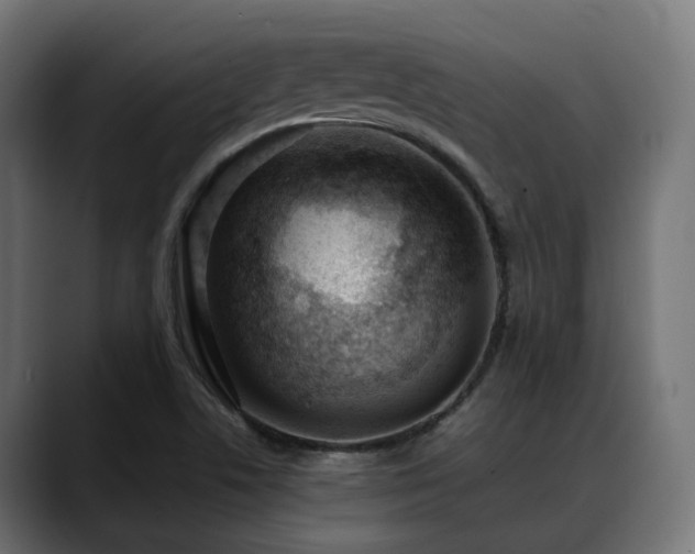 X0000088581506200705251127
