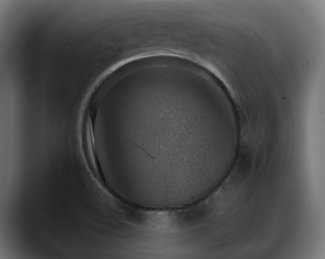 X0000088581508200705251127