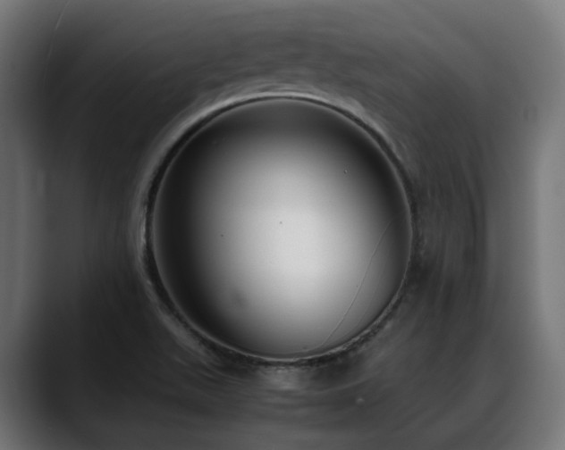 X0000088581511200705251127