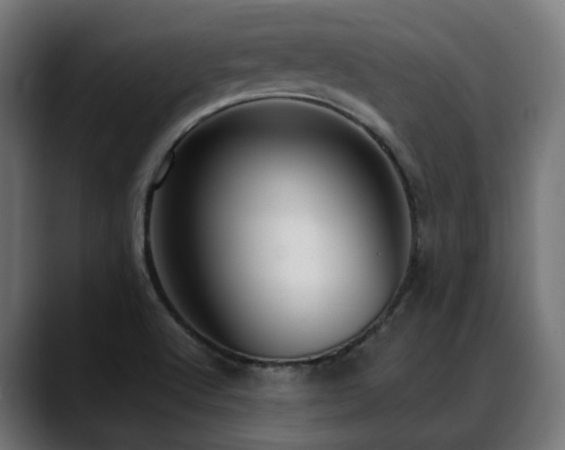 X0000088581512200705251127