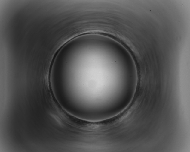X0000088581513200705251127