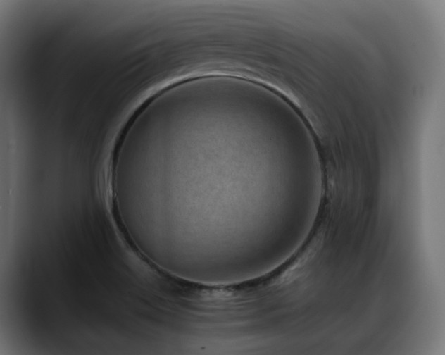 X0000088581515200705251127
