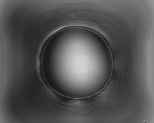 X0000088581517200705251127