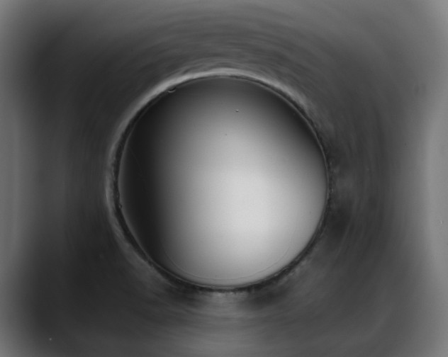 X0000088581518200705251127