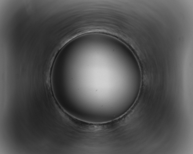 X0000088581521200705251128