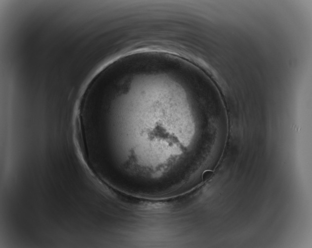X0000088581522200705251128
