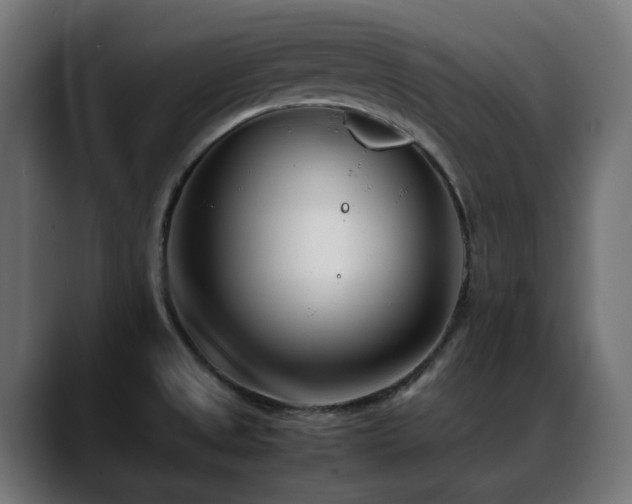 X0000088581525200705251128