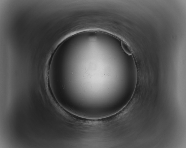 X0000088581526200705251128