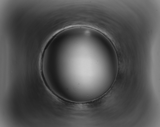 X0000088581527200705251128