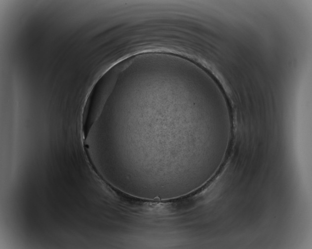 X0000088581529200705251128