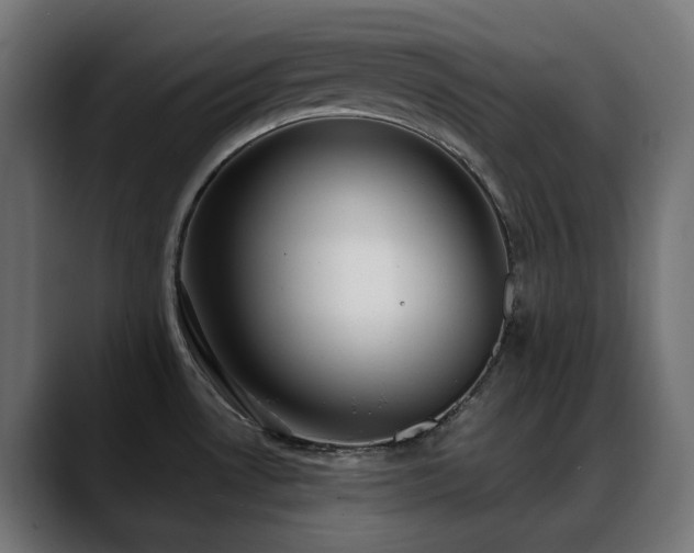X0000088581530200705251128