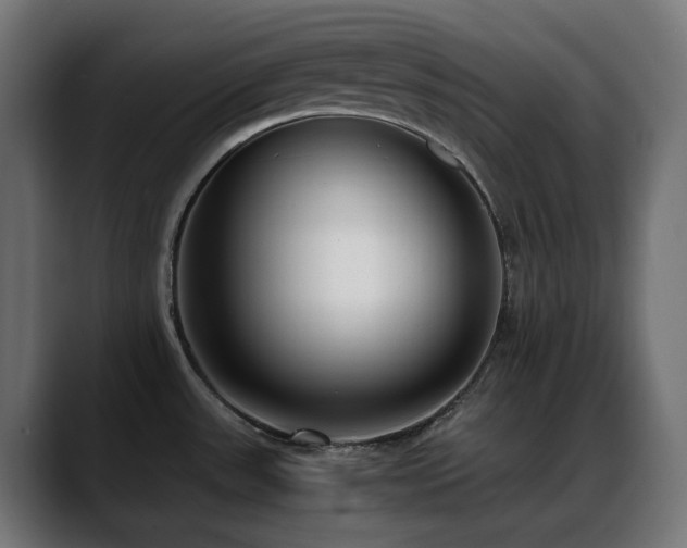 X0000088581531200705251128
