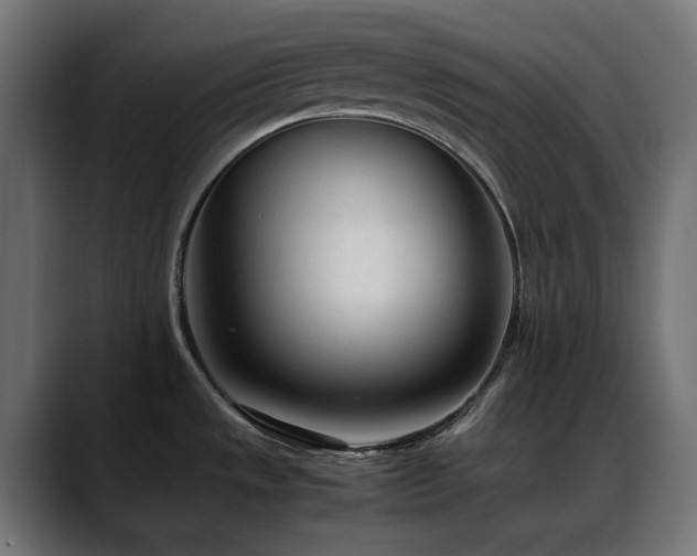 X0000088581533200705251128