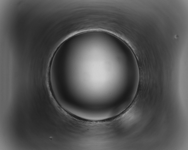 X0000088581534200705251128