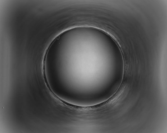 X0000088581535200705251128