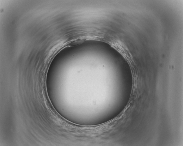 X0000088580001200706011124