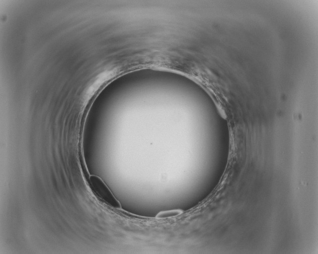 X0000088580003200706011124