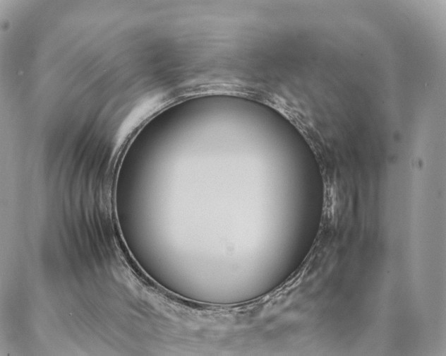 X0000088580004200706011124