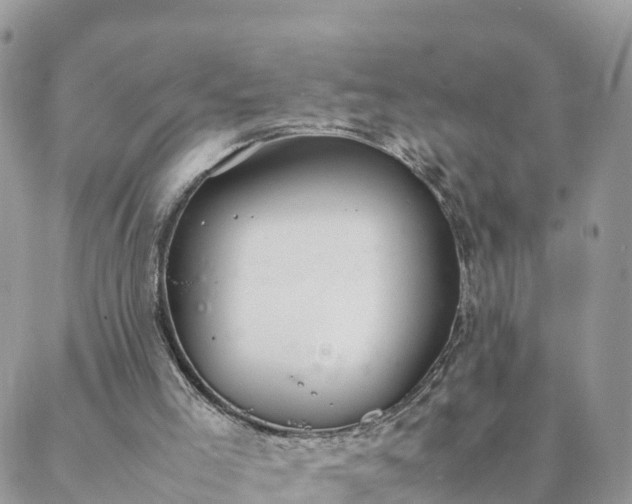 X0000088580005200706011124